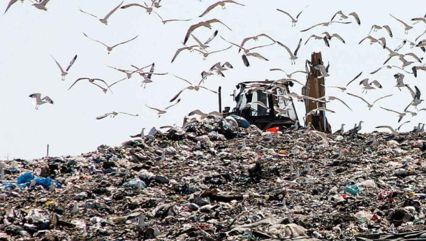 Immagine: I rifiuti di Roma in Puglia: individuate quattro impianti disponibili