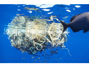 Giornata mondiale dell'ambiente: plastica, da ENEA innovazioni e consigli per uno stile di vita sostenibile