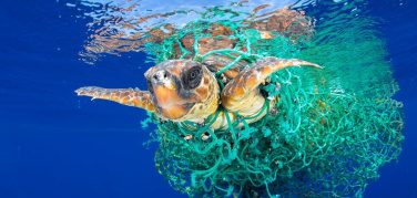 Nel Mediterraneo il 7% di tutta la microplastica del mondo: 'Eccessivo consumo, cattiva gestione rifiuti e turismo di massa le cause'