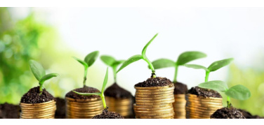 Piemonte, al via il bando regionale da 40 milioni di euro per la Bioeconomia