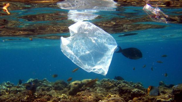 Immagine: Ministro Costa: presto leggi ad hoc sulla plastica in mare