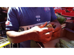 Sono buone queste zucchine?