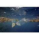 Immagine: Ministro Costa: 'Entro l'estate la legge Marevivo contro l'inquinamento da plastica'