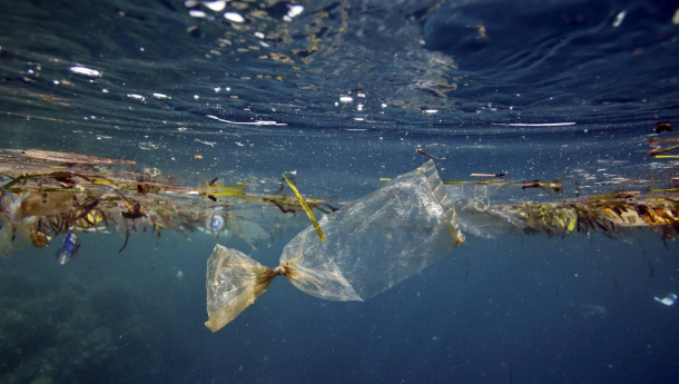 Immagine: Ministro Costa: 'Entro l'estate la legge Marevivo contro l'inquinamento da plastica'