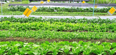 Global Food Forum 2018, il 17 e 18 settembre a Pavia