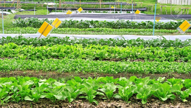 Immagine: Global Food Forum 2018, il 17 e 18 settembre a Pavia