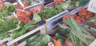 28 settembre, all'Ecocentro di via Arbe 'Una notte differenziata': tra le iniziative, il frullato degli Ecomori