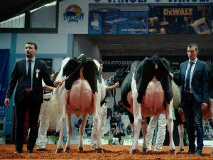 A Roma dall’11 al 13 ottobre torna il Green Movie Film Fest