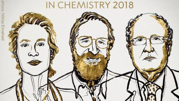 Immagine: Nobel per la Chimica ad Arnold, Smith e Winter premiata la chimica verde