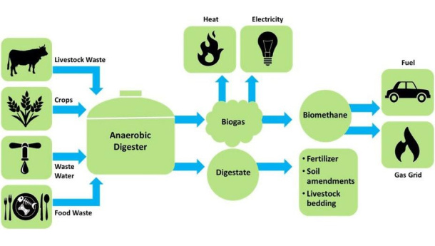 Immagine: L’era del biometano: verso l’obiettivo di decarbonizzazione al 2050