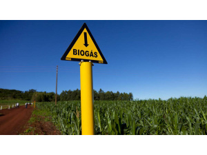 L’era del biometano: verso l’obiettivo di decarbonizzazione al 2050