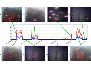 Dal Cnr-Ismar  arriva una nuova tecnologia per monitorare gli impatti antropici e le rapide conseguenze del cambiamento climatico sulle specie ittiche