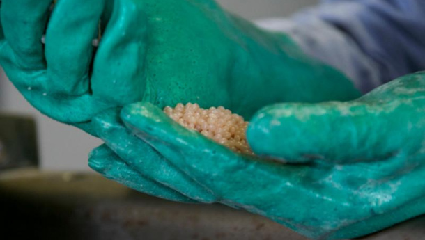 Immagine: Club of Rome. Le tre R della decarbonizzazione secondo Novamont: rigenerazione, rinnovabilità, re-design