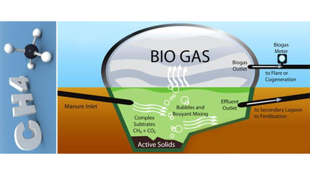 Immagine: La Piattaforma Biometano scrive alla Commissione Ue per ribadire la centralità del gas rinnovabile nell'economia del futuro