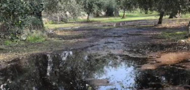 ‘Non è acqua sporca’, il percolato invade le campagne di Giovinazzo. Arpa Puglia: ‘La discarica è in uno stato precario e va messa assolutamente in sicurezza’