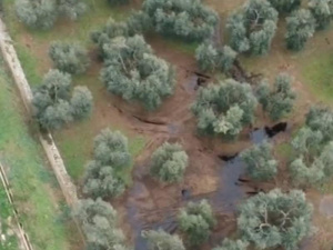 ‘Non è acqua sporca’, il percolato invade le campagne di Giovinazzo. Arpa Puglia: ‘La discarica è in uno stato precario e va messa assolutamente in sicurezza’