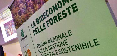 Giornata nazionale degli alberi: PEFC premia le comunità forestali sostenibili