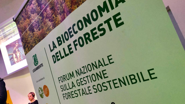 Immagine: Giornata nazionale degli alberi: PEFC premia le comunità forestali sostenibili