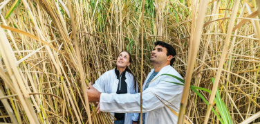 Nasce la 'European Bioeconomy University', un'alleanza internazionale sulla bioeconomia