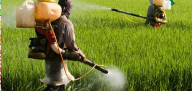 'Cambiamenti climatici, salute, agricoltura e alimentazione’. Isde presenta il position paper sulle conseguenze socio-economiche e sanitarie