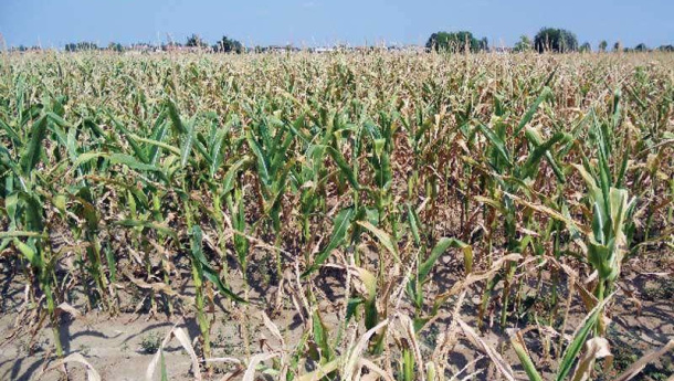 Immagine: Veneto, l’autunno 2018 ‘il più caldo in assoluto’ degli ultimi 25 anni