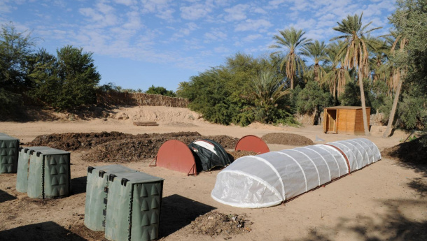 Immagine: AICA lancia un crowdfunding per il progetto 'Green Oasis for Tozeur Governorate' in Tunisia