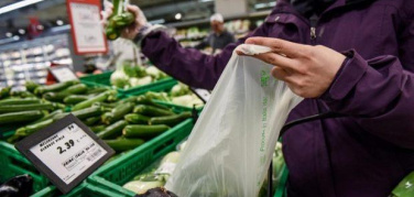 La filiera delle bioplastiche compostabili cresce, numeri molto positivi nel quinquennio 2012-2017