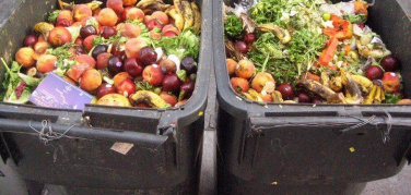 Milano riduce la tari a chi dona cibo, prossima scadenza il 31 dicembre 2018