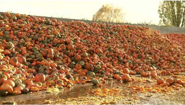 Immagine: Ispra: 'La principale causa di spreco alimentare è la sovrapproduzione di eccedenze'