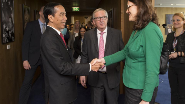 Immagine: UE, decisione storica: 'Biodiesel da olio di palma insostenibile'. Ma le eccezioni rovinano tutto