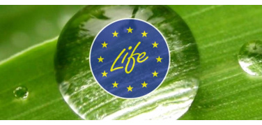 Commissione Ue, 116 milioni per 'progetti integrati' LIFE in favore di ambiente e clima