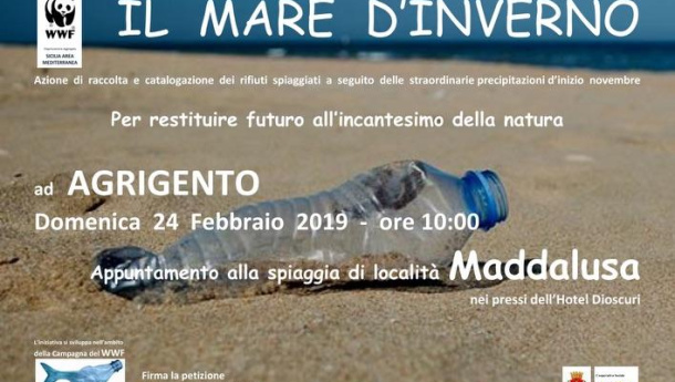 Immagine: Wwf, domenica 24 il tour 'Spiagge plastic free' fa tappa ad Agrigento