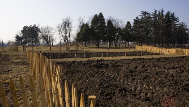 Immagine: Orti Generali a Torino: dal 1 marzo 2019 assegnazione orti