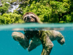 Torna CinemAmbiente Junior, la competizione di cortometraggi a tema ambientale realizzati dagli studenti delle scuole italiane di ogni ordine e grado