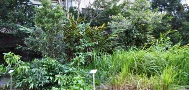 Milano, verde urbano: oltre 3 milioni di euro per riqualificare più di 20 cortili scolastici