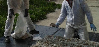 Arpa Piemonte, operativo il Protocollo di conformità del Combustibile Solido Secondario