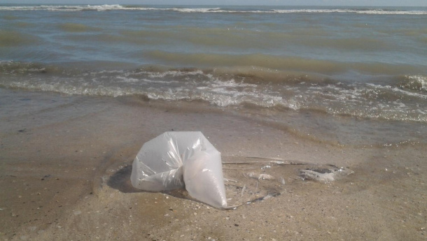 Immagine: Sacchetti. Studio Università di Plymouth: il punto di vista di Assobioplastiche