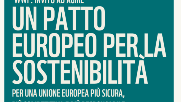 Immagine: Il WWF lancia il patto per la sostenibilità e pubblica l'ecoscreenign del voto della legislatura 2014-2019