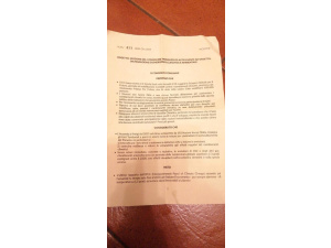 Milano è la prima grande città italiana a dichiarare lo stato di Emergenza Climatica