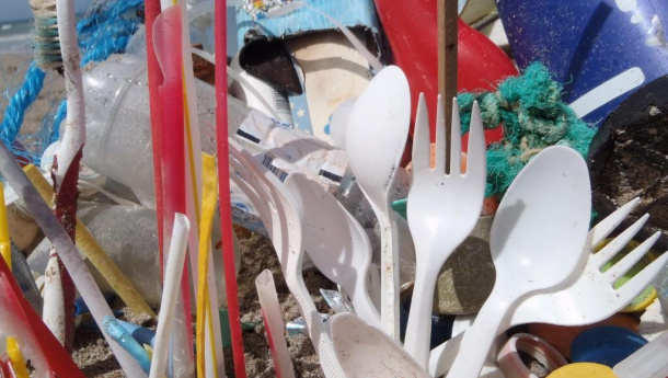 Immagine: Direttiva Ue contro la plastica monouso: l'ok del Consiglio conclude l'ultima fase legislativa