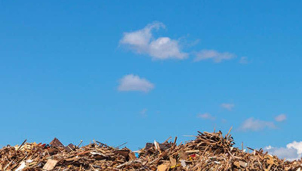 Immagine: Prende il via Blaze, il progetto per produrre energia senza emissioni e a basso costo grazie alle biomasse