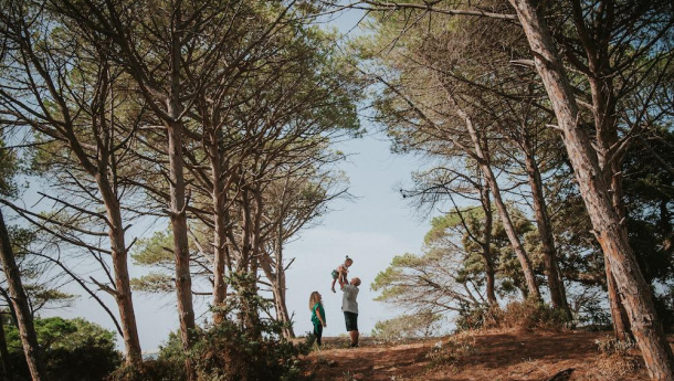 Immagine: Estate e incendi, prevenirli costa otto volte in meno che spegnerli