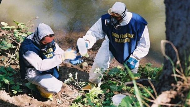 Immagine: Ecomafia 2019. Le storie e i numeri della criminalità ambientale in Italia