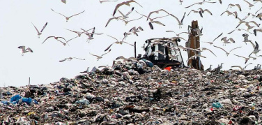 La gestione dei rifiuti in Italia