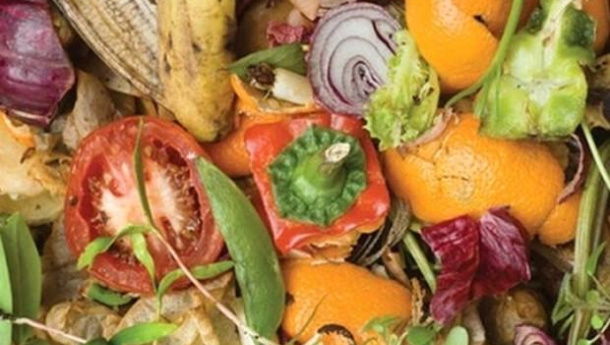 Immagine: Spreco di cibo, Fipe presenta il suo manifesto per una ristorazione sostenibile