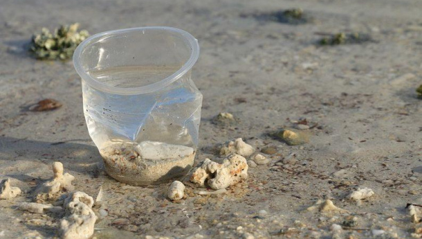 Immagine: Puglia, il Tar sospende l'ordinanza regionale contro la plastica monouso nei lidi balneari