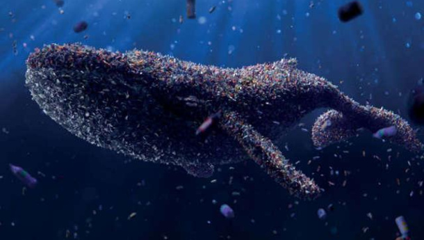 Immagine: Dal 15 al 18 settembre a Capri la seconda edizione dell’International Conference on Microplastic Pollution in the Mediterranean Sea - µMED