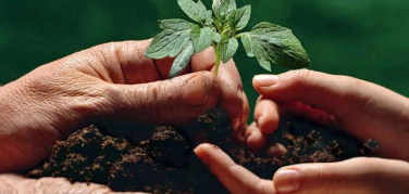 Lazio: approvata in regione la delibera per creare una filiera del compostaggio di qualità, sostenibile e a km zero