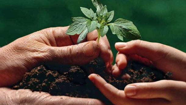 Immagine: Lazio: approvata in regione la delibera per creare una filiera del compostaggio di qualità, sostenibile e a km zero