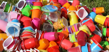 La Città metropolitana di Torino al lavoro sulle #greenschool